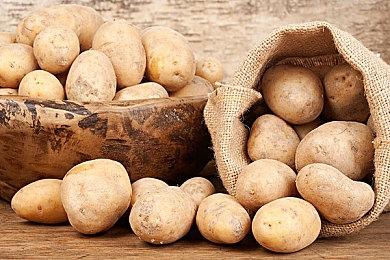 《宝可梦GO》2025愚人节活动详情公开 活动持续一整天